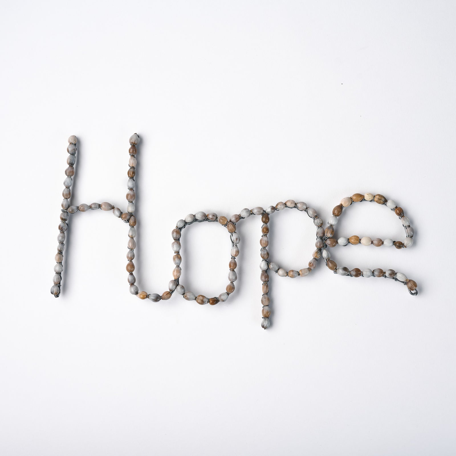 Lucky Seed™ Word Decor