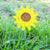 Sunflower Garden Stake - Khutsala™ Artisans