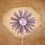 Daisy Garden Stakes - Khutsala™ Artisans